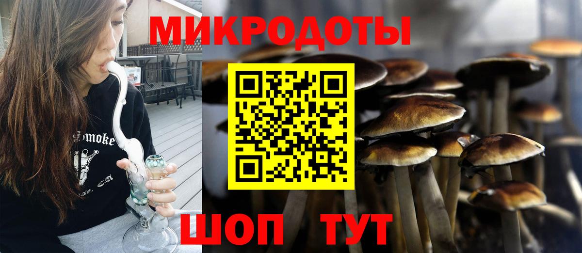 Галлюциногенные грибы Psilocybe  где купить   Улан-Удэ  Вход с VPN 